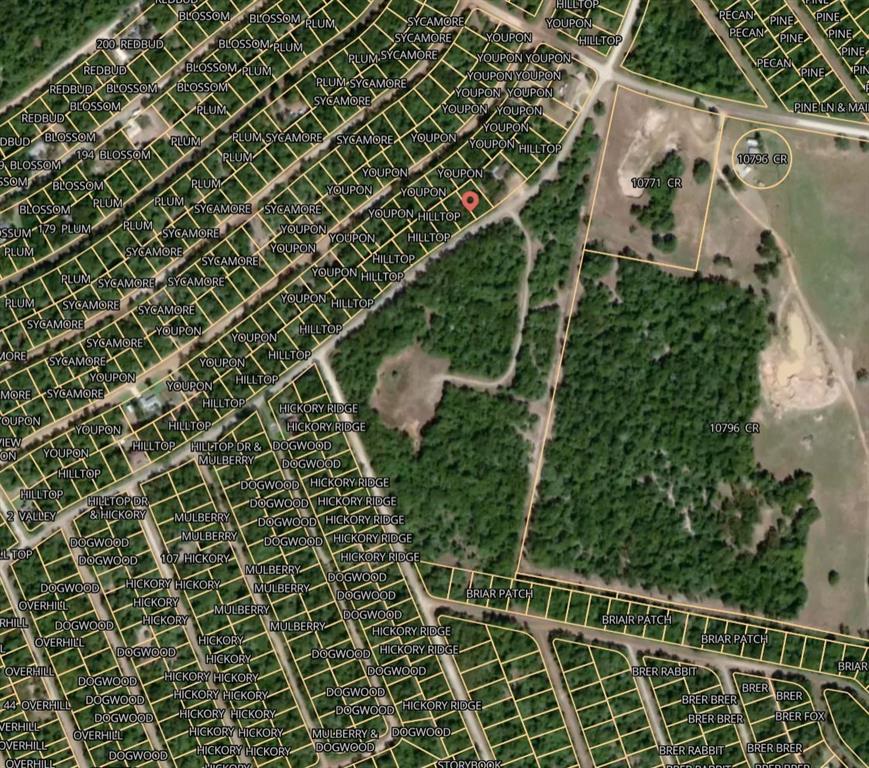 Lot 28 Hilltop Drive, Normangee, Texas image 3
