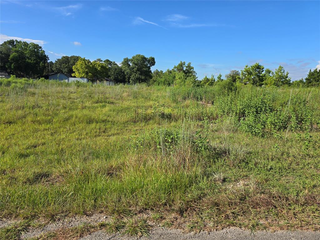 Lot 9 Lewis Creek Circle