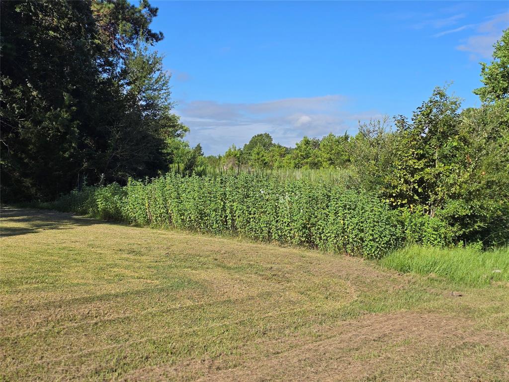 Lot 9 Lewis Creek Circle