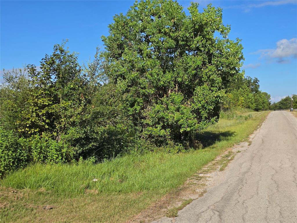 Lot 9 Lewis Creek Circle