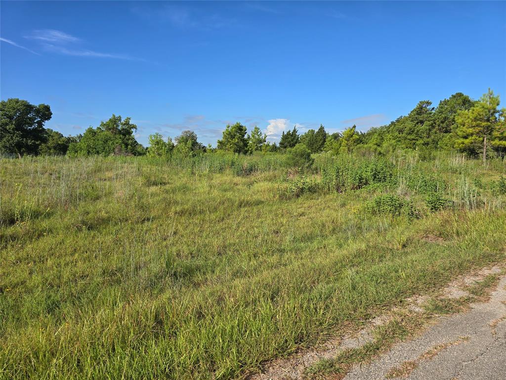 Lot 9 Lewis Creek Circle