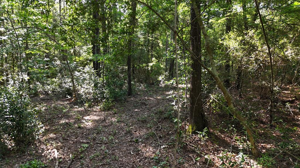 11430 Us Highway 190, Livingston, Texas image 16