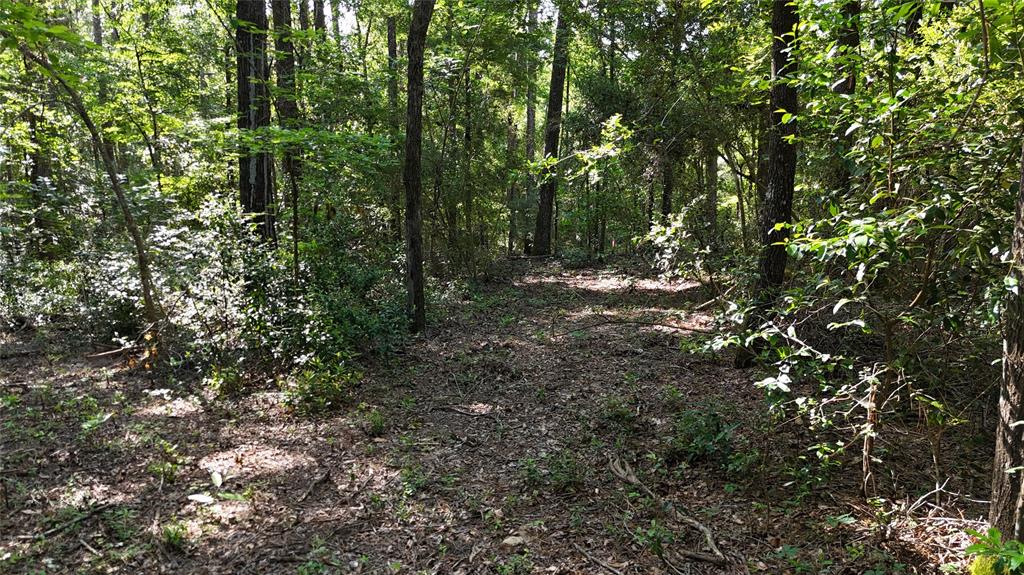 11430 Us Highway 190, Livingston, Texas image 17
