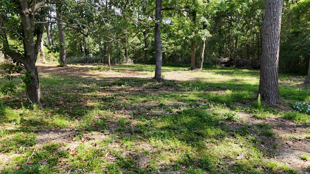 11430 Us Highway 190, Livingston, Texas image 14