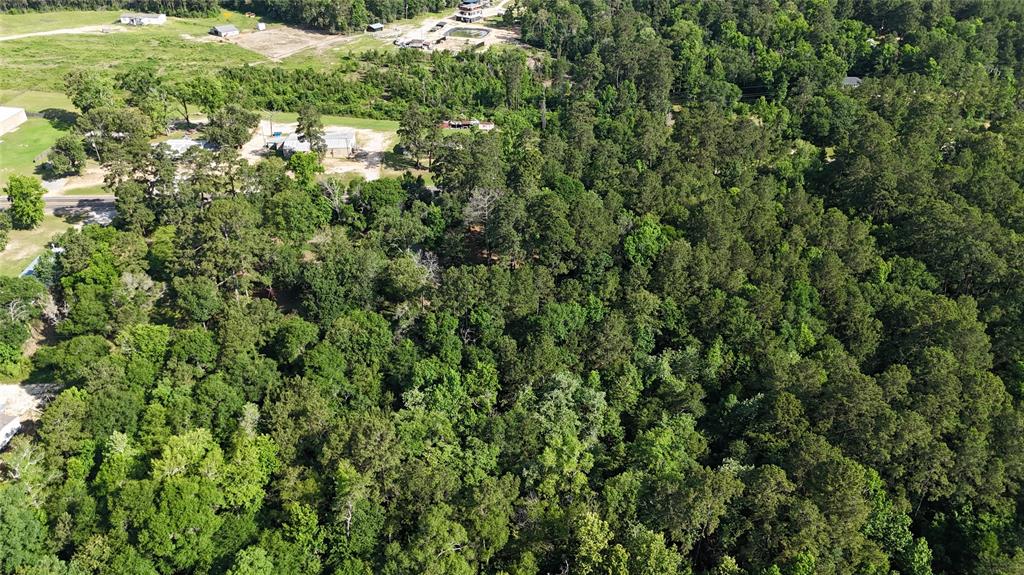 11430 Us Highway 190, Livingston, Texas image 12