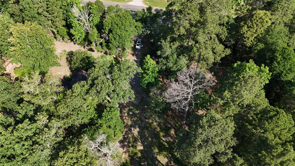 11430 Us Highway 190, Livingston, Texas image 13