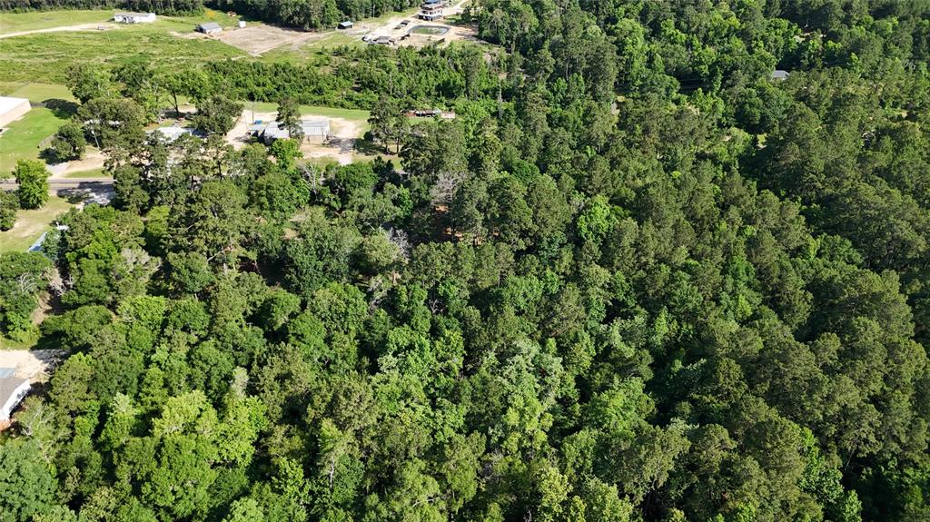 11430 Us Highway 190, Livingston, Texas image 11