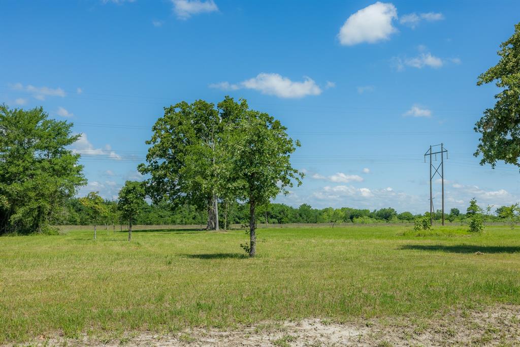 6757 Atakapan Trail, Bedias, Texas image 4