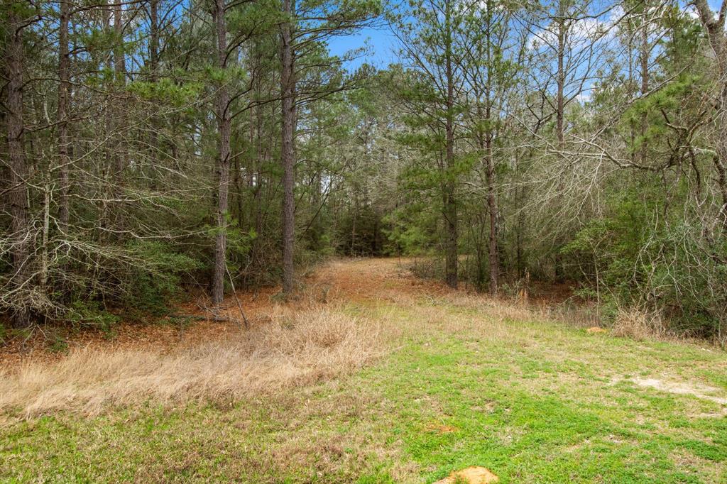 7212 Rodeo Road, Waller, Texas image 10