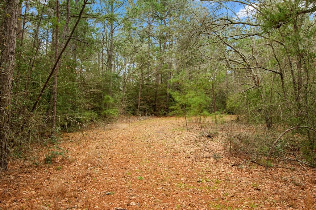 7212 Rodeo Road, Waller, Texas image 11