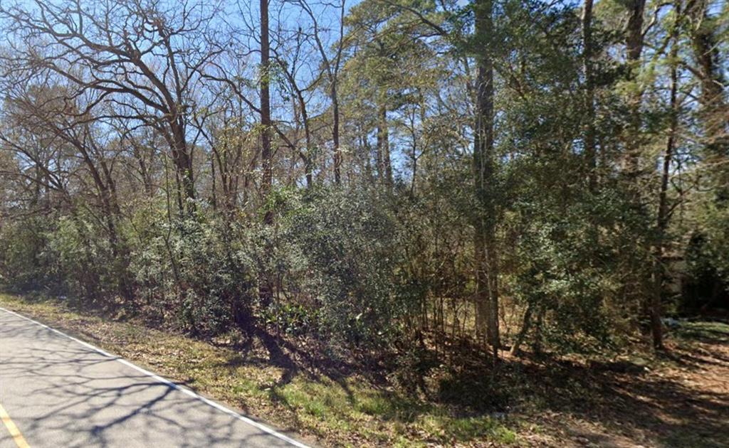 29803 Spring Forest Drive, Spring, Texas image 3