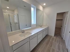 18175 Trepito Avenue, New Caney, Texas image 4