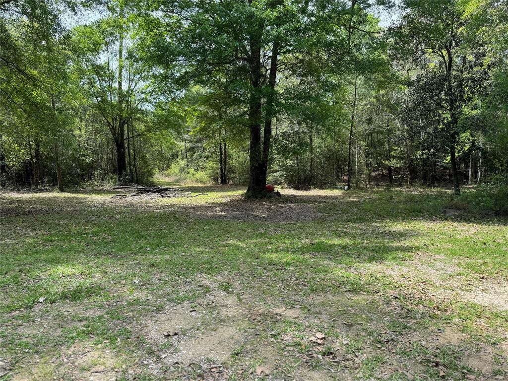 10586 Holland Road Rd, Kountze, Texas image 1