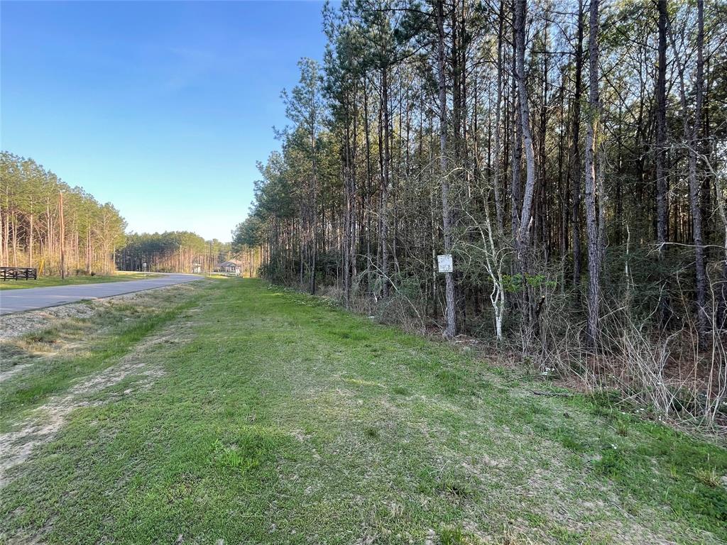 Lot 1-36-14 Larkspur Lane, Huntsville, Texas image 10