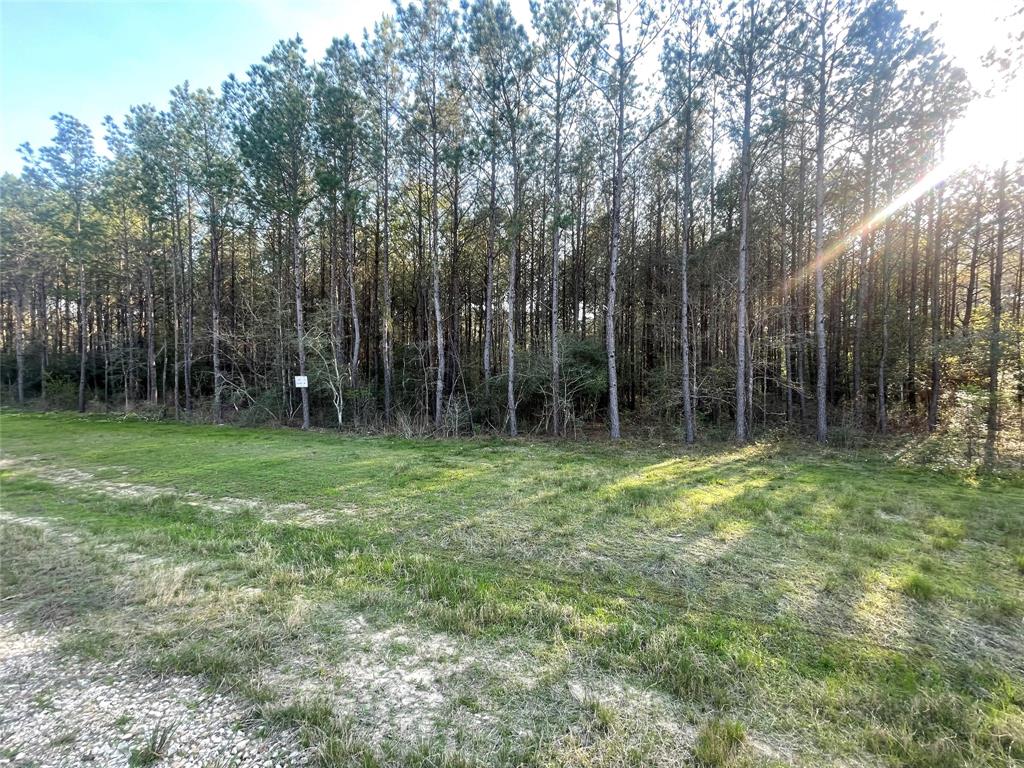 Lot 1-36-14 Larkspur Lane, Huntsville, Texas image 12