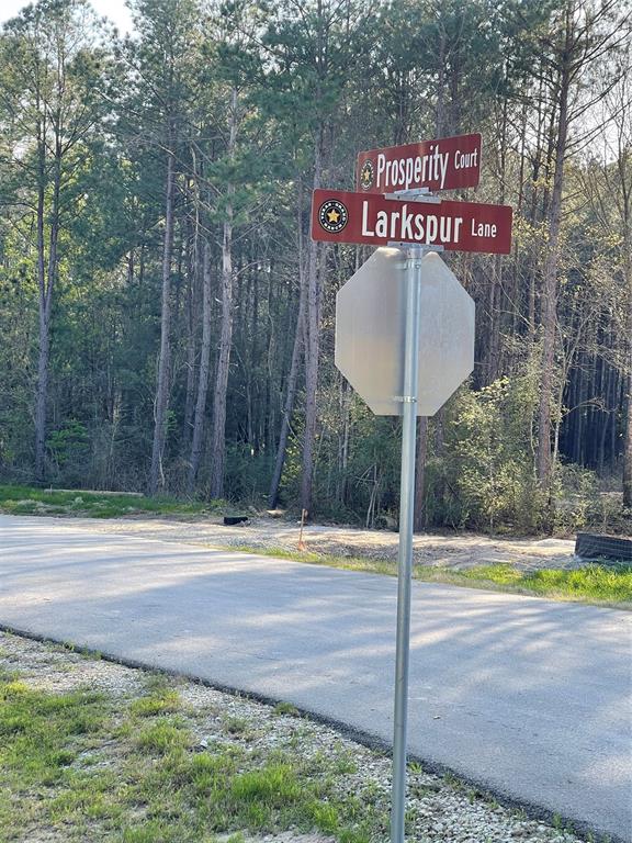 Lot 1-36-14 Larkspur Lane, Huntsville, Texas image 3