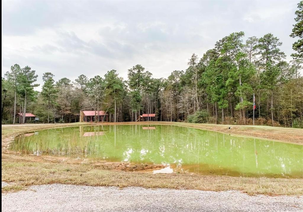 Lot 1-36-14 Larkspur Lane, Huntsville, Texas image 6