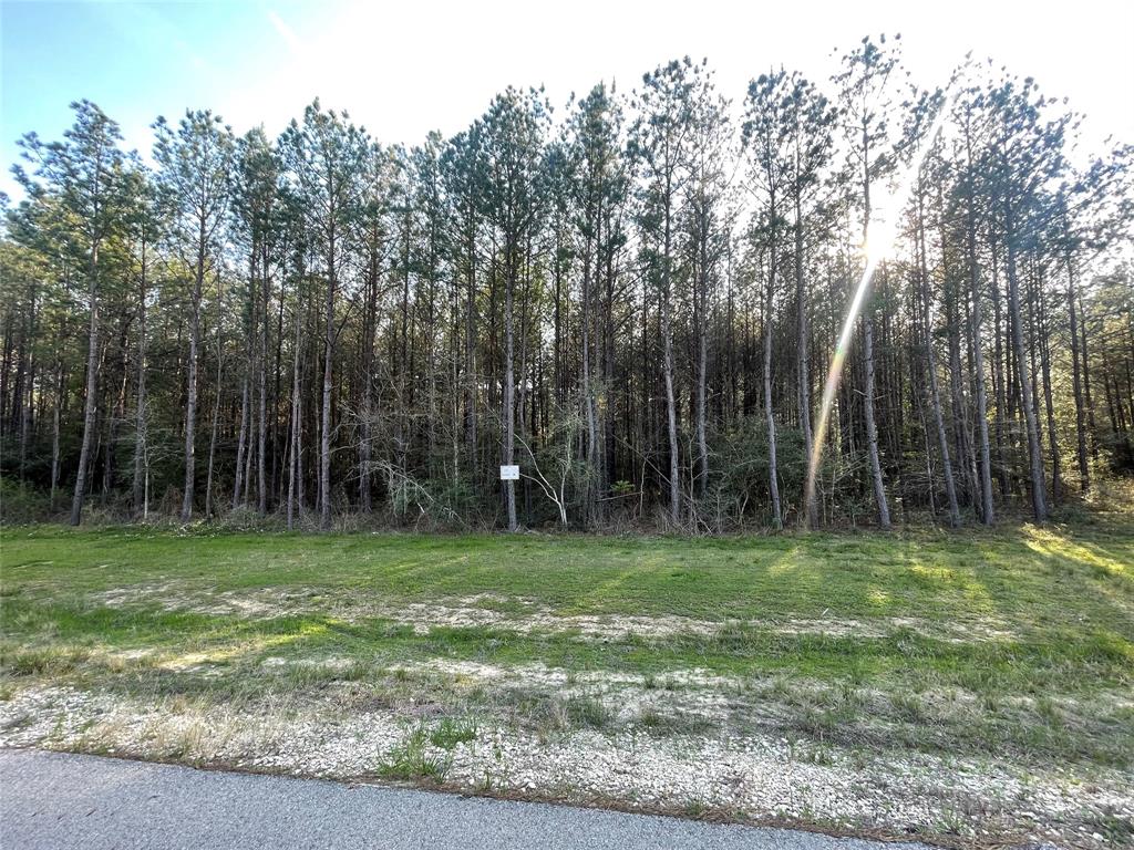 Lot 1-36-14 Larkspur Lane, Huntsville, Texas image 11