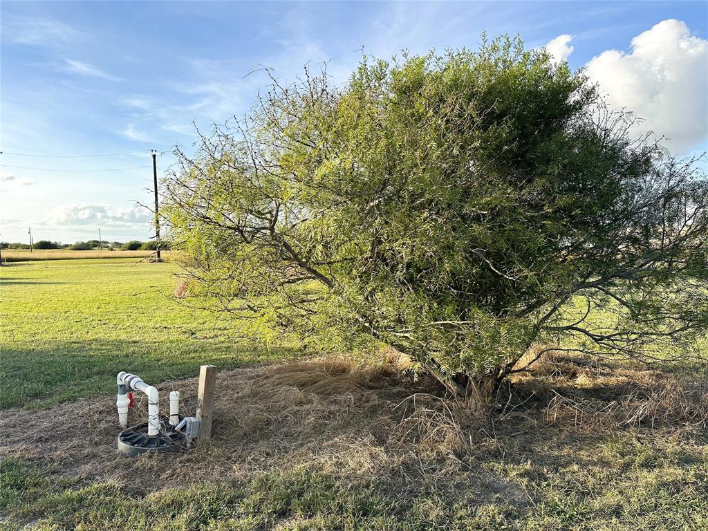 1982 County Road 477, Palacios, Texas image 9