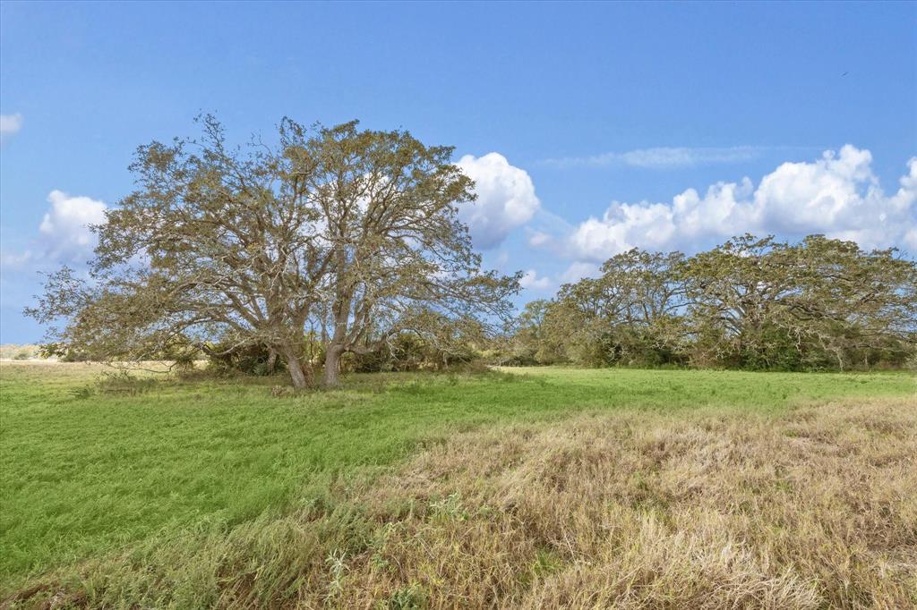 Mack Washington Lane, Hempstead, Texas image 17