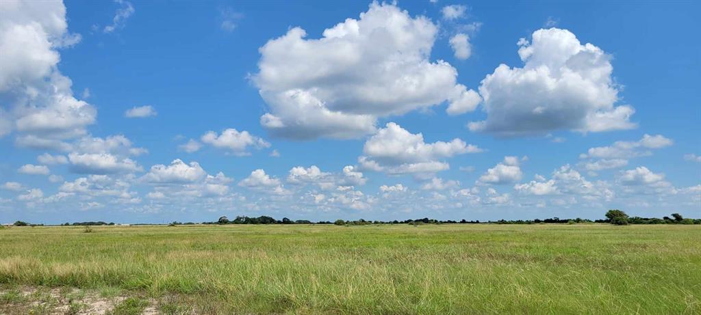 795 Cr  468, Palacios, Texas image 14