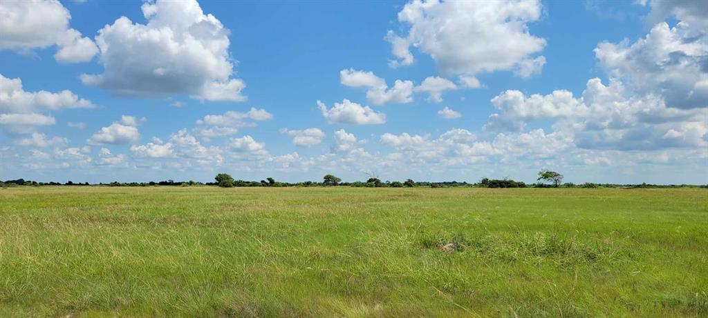 795 Cr  468, Palacios, Texas image 13