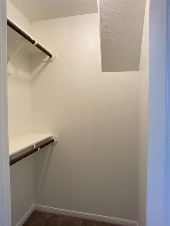 27203 Blue Pool Drive, Katy, Texas image 38
