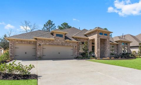 411 Sunset Tree Court Willis TX 77318