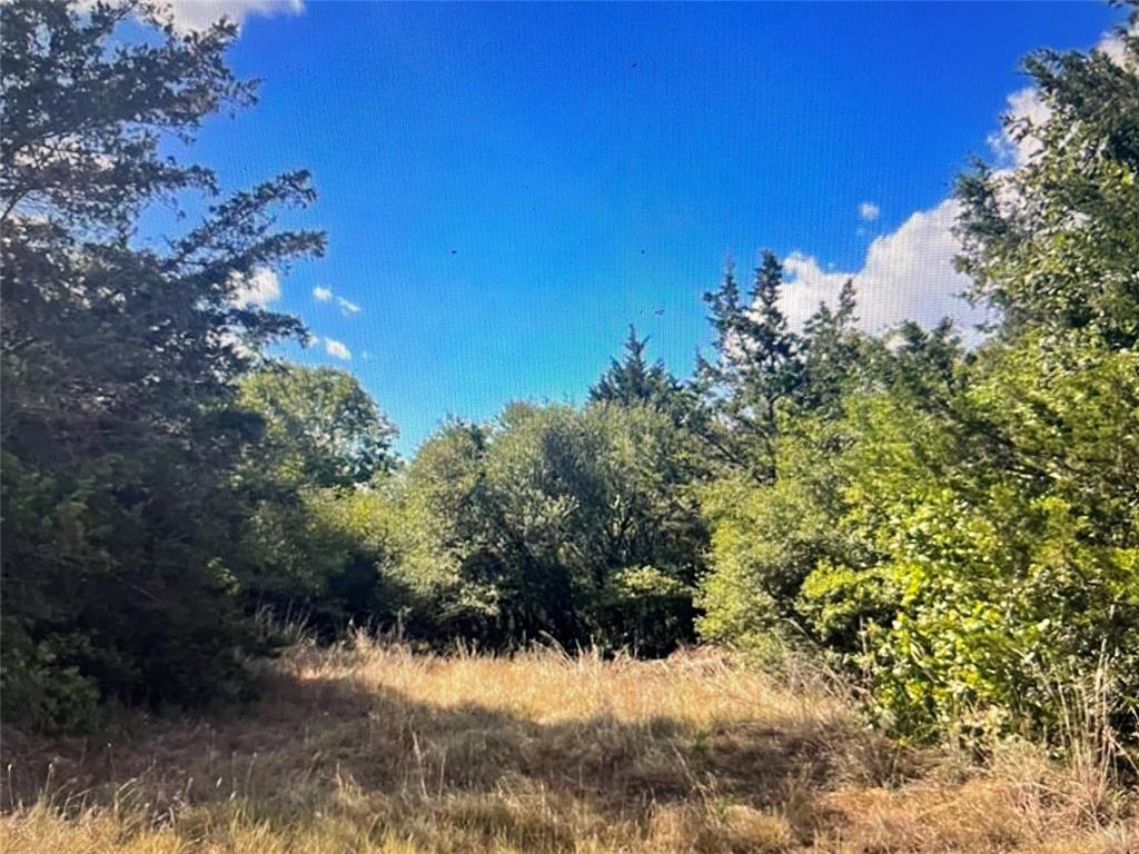 TBD County Road 411