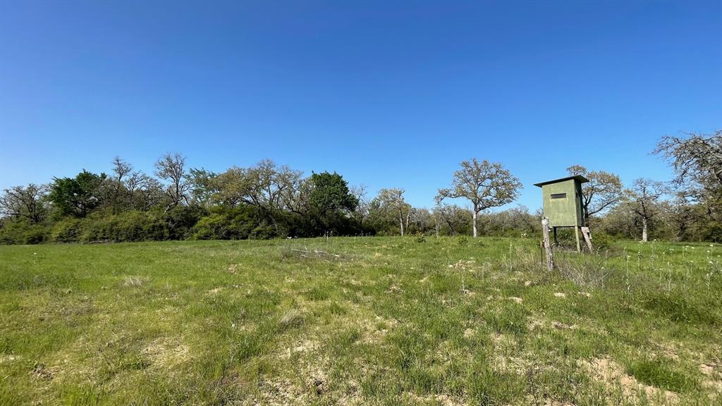 2876 Grant Prairie Rd - 76 Acres Rd, Franklin, Texas image 8