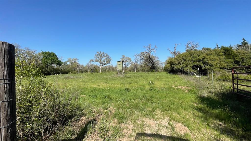 2876 Grant Prairie Rd - 76 Acres Rd, Franklin, Texas image 7