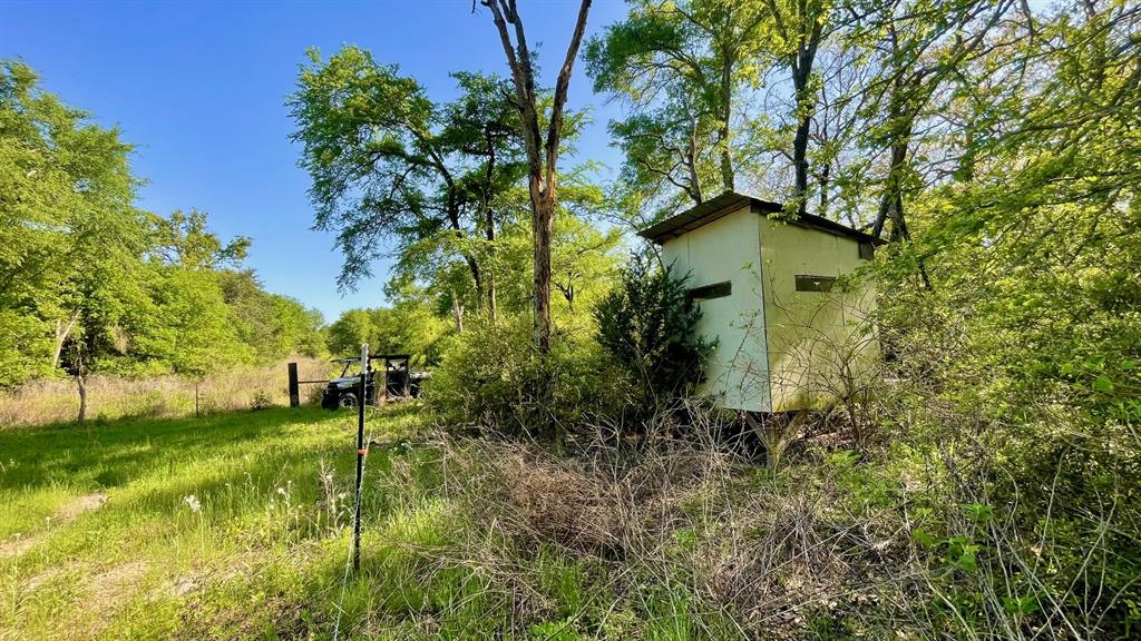 2876 Grant Prairie Rd - 76 Acres Rd, Franklin, Texas image 11