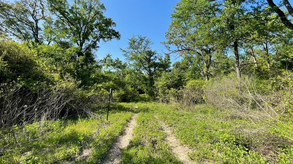 2876 Grant Prairie Rd - 76 Acres Rd, Franklin, Texas image 12
