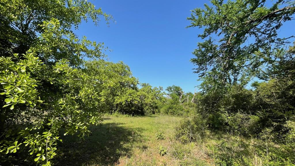 2876 Grant Prairie Rd - 76 Acres Rd, Franklin, Texas image 14