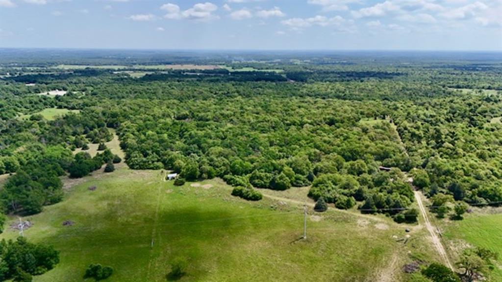 2876 Grant Prairie Rd - 76 Acres Rd, Franklin, Texas image 3