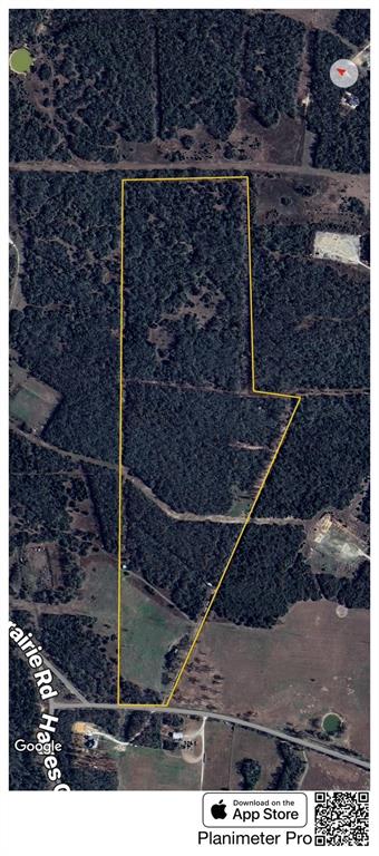 2876 Grant Prairie Rd - 76 Acres Rd, Franklin, Texas image 18