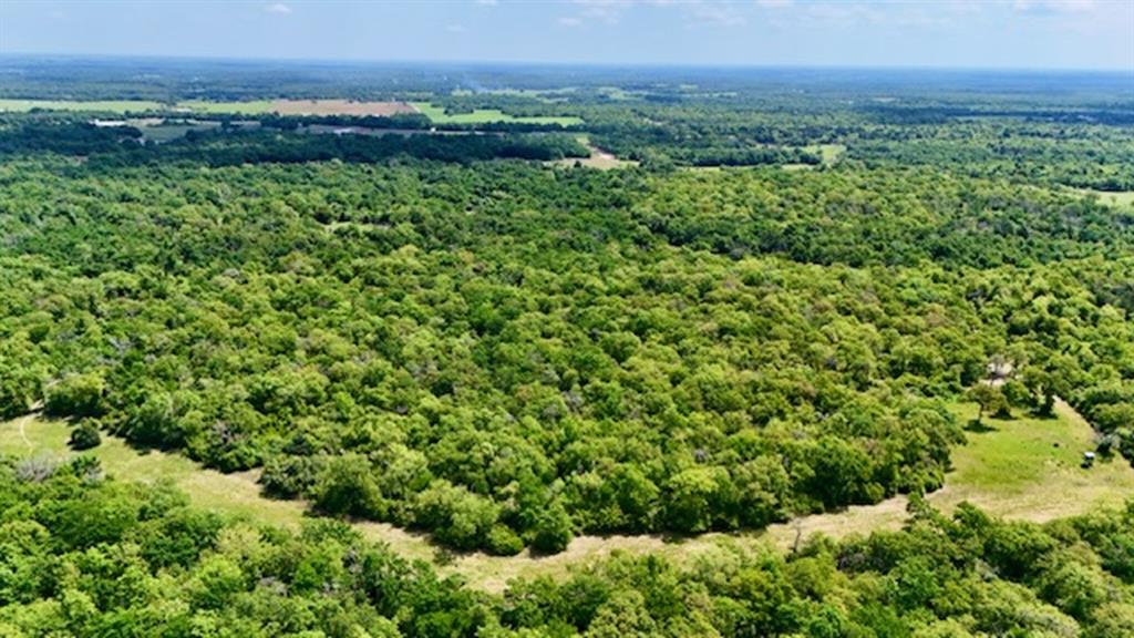 2876 Grant Prairie Rd - 76 Acres Rd, Franklin, Texas image 4