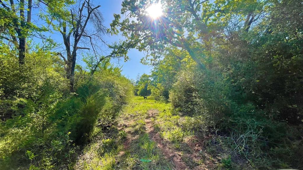 2876 Grant Prairie Rd - 76 Acres Rd, Franklin, Texas image 16
