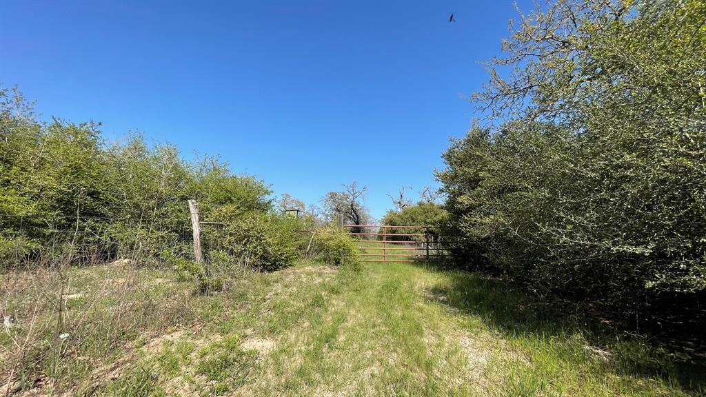 2876 Grant Prairie Rd - 76 Acres Rd, Franklin, Texas image 5