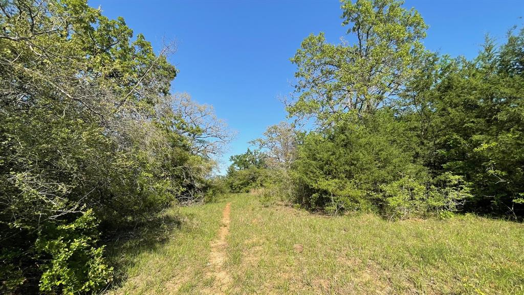 2876 Grant Prairie Rd - 76 Acres Rd, Franklin, Texas image 13