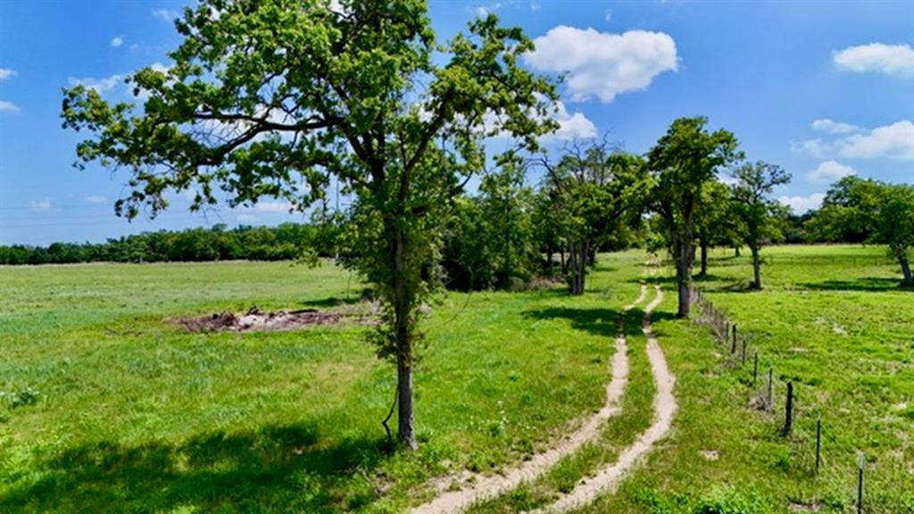 2876 Grant Prairie Rd - 76 Acres Rd, Franklin, Texas image 1