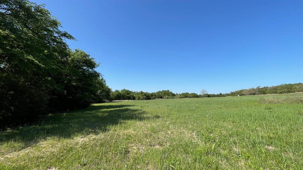 2876 Grant Prairie Rd - 76 Acres Rd, Franklin, Texas image 6