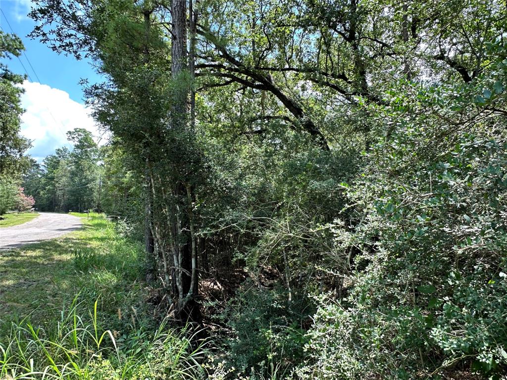 Lot 152 Nottingham Circle, Hockley, Texas image 6