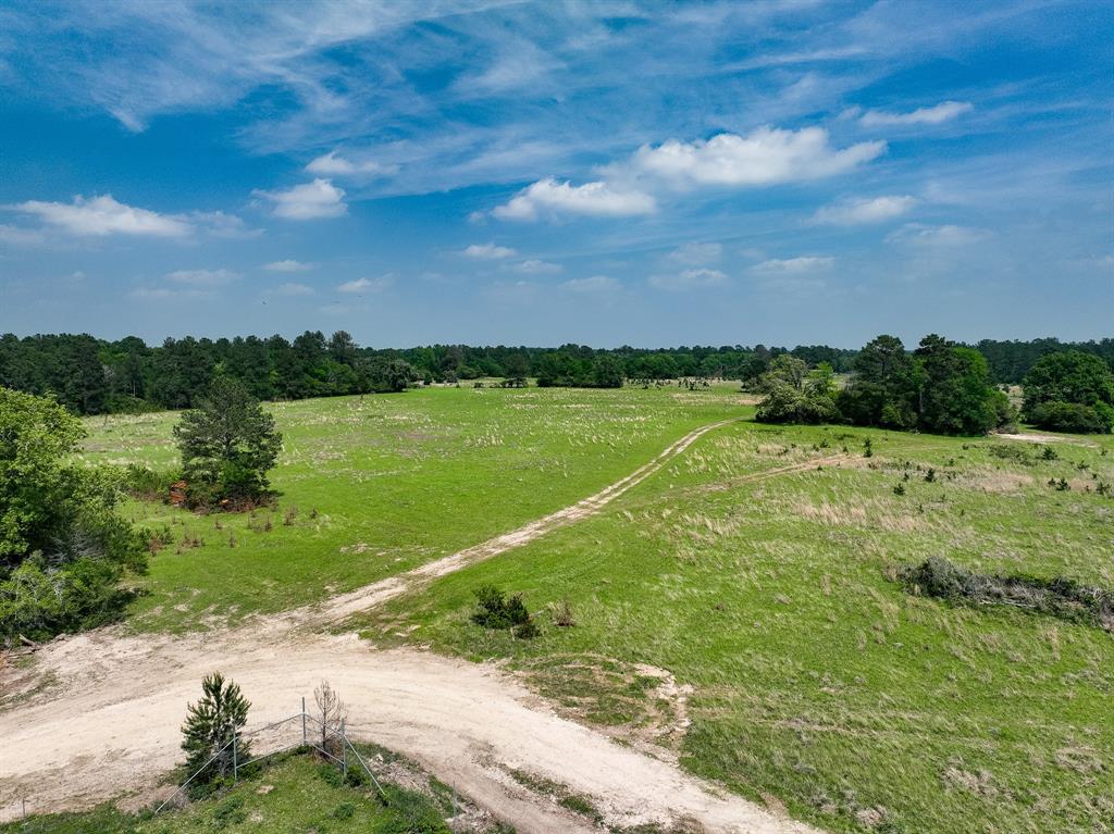 TBD Cr 152, Bedias, Texas image 3