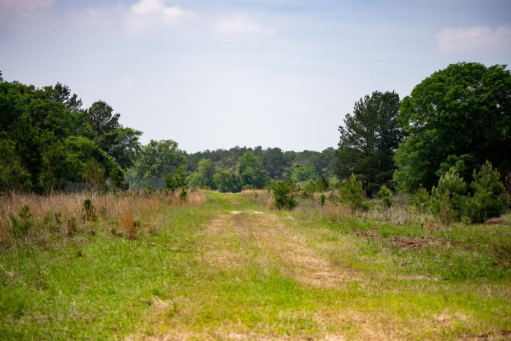 TBD Cr 152, Bedias, Texas image 11