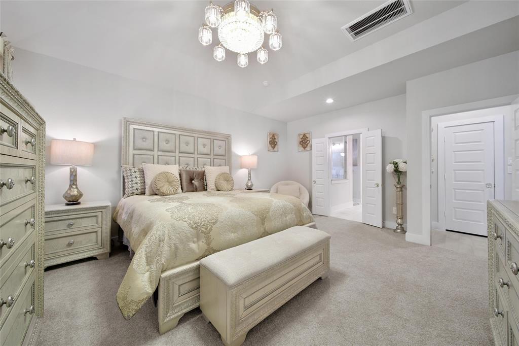 3131 Red Buckeye Lane, Conroe, Texas image 29