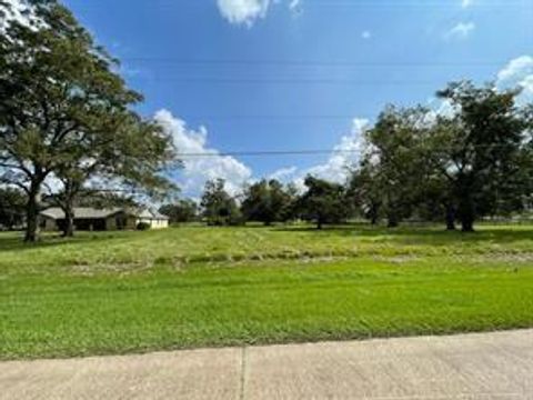 Photo of 317 Wagon Wheel Trail, Angleton, TX 77515 (MLS # 86022809)