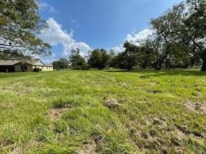 317 Wagon Wheel Trail, Angleton, Texas image 2