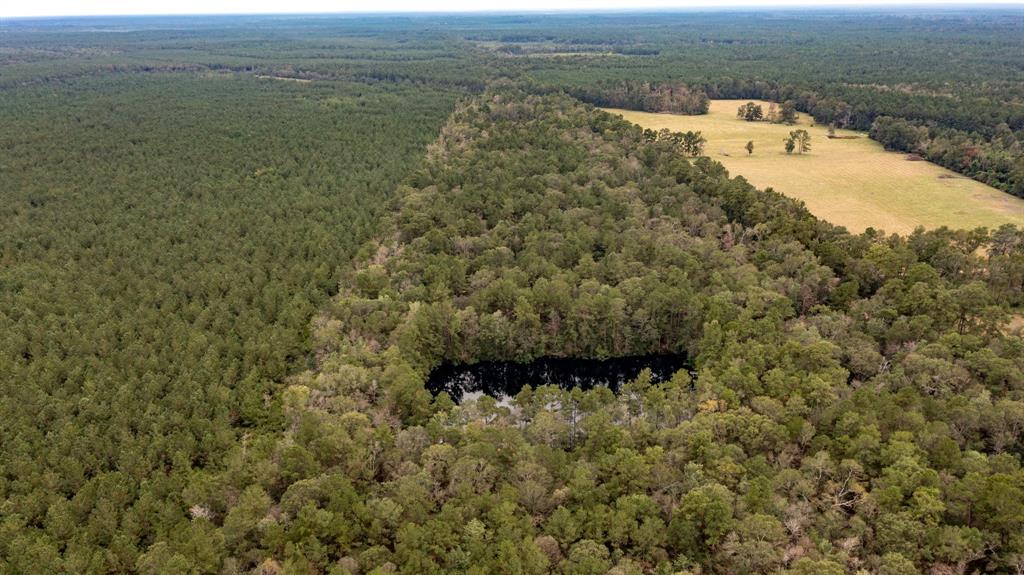 17500 Ghost Scenic Road, Saratoga, Texas image 47