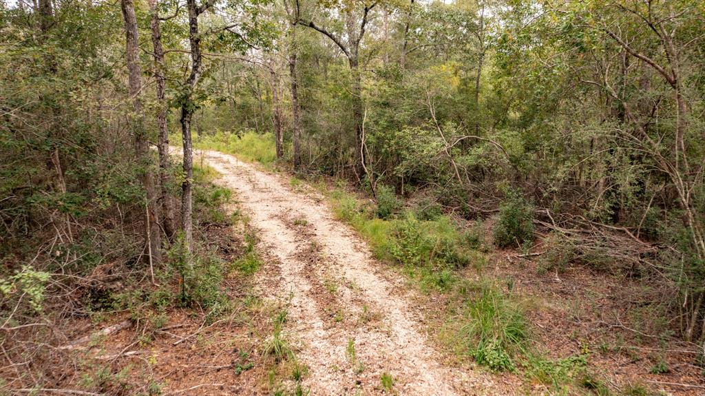 17500 Ghost Scenic Road, Saratoga, Texas image 41